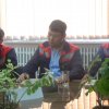 Лучший электрик 2017