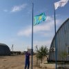 Лучший электрик 2017
